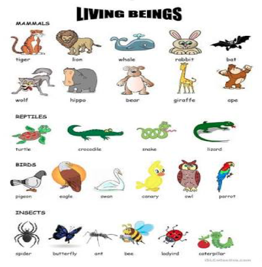 living organisms