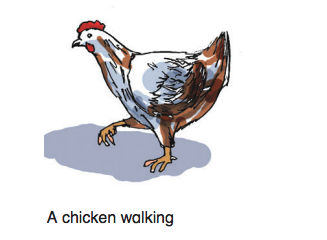 Å chicken wålking