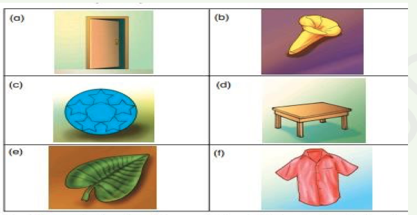 Second Term Basic science Lessons Second Term Basic science Lessons