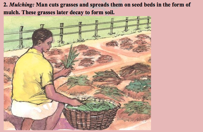 agric lesson note