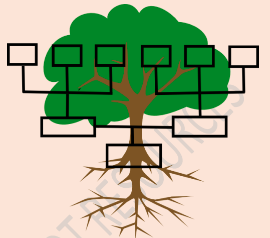 family tree