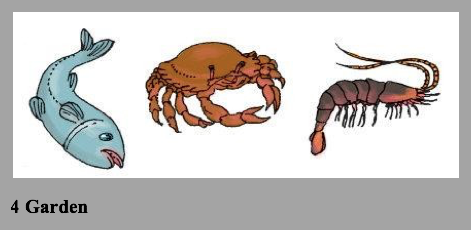 sources of food sources of food