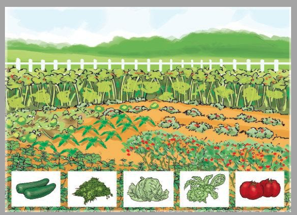 sources of food sources of food